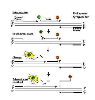 Galaxy·银河国际(集团)-官方网站